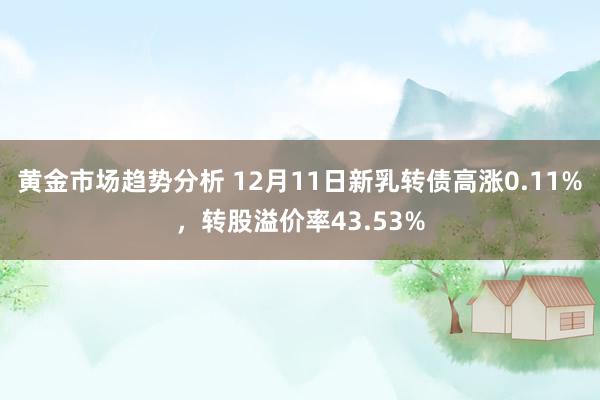 黄金市场趋势分析 12月11日新乳转债高涨0.11%，转股溢价率43.53%