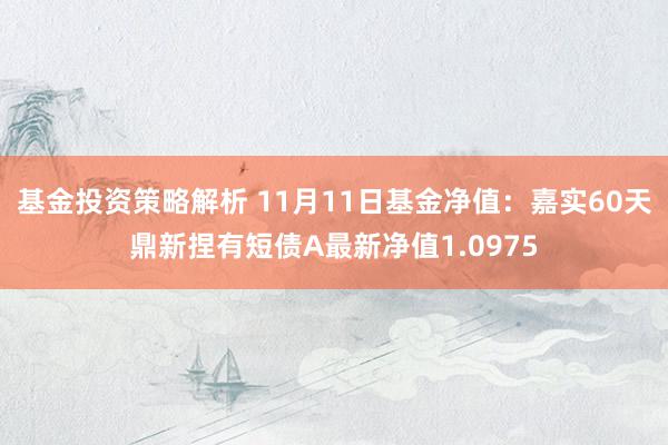 基金投资策略解析 11月11日基金净值：嘉实60天鼎新捏有短债A最新净值1.0975