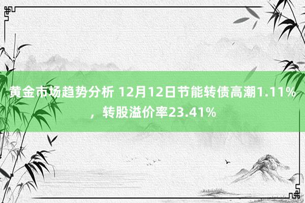 黄金市场趋势分析 12月12日节能转债高潮1.11%，转股溢价率23.41%