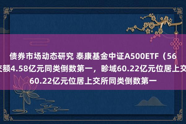 债券市场动态研究 泰康基金中证A500ETF（560510）日均成交额4.58亿元同类倒数第一，畛域60.22亿元位居上交所同类倒数第一