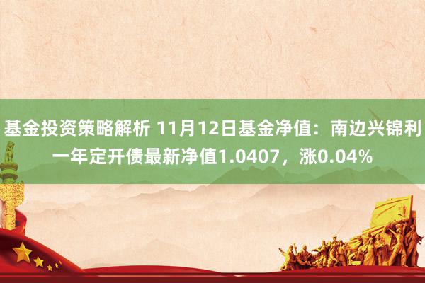 基金投资策略解析 11月12日基金净值：南边兴锦利一年定开债最新净值1.0407，涨0.04%