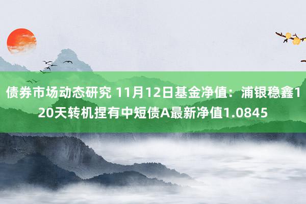 债券市场动态研究 11月12日基金净值：浦银稳鑫120天转机捏有中短债A最新净值1.0845