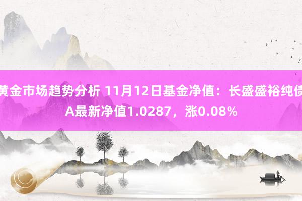 黄金市场趋势分析 11月12日基金净值：长盛盛裕纯债A最新净值1.0287，涨0.08%