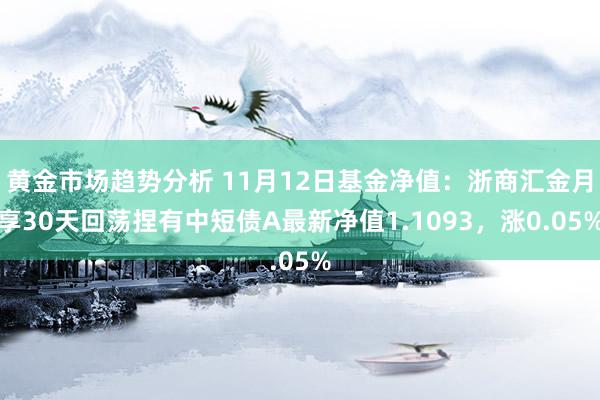 黄金市场趋势分析 11月12日基金净值：浙商汇金月享30天回荡捏有中短债A最新净值1.1093，涨0.05%