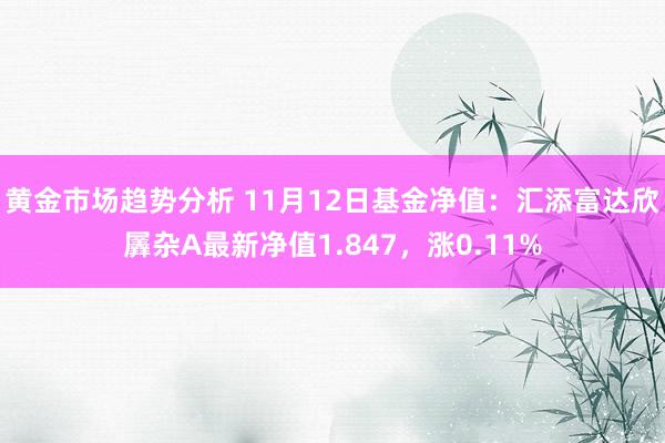 黄金市场趋势分析 11月12日基金净值：汇添富达欣羼杂A最新净值1.847，涨0.11%