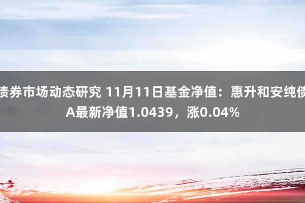 债券市场动态研究 11月11日基金净值：惠升和安纯债A最新净值1.0439，涨0.04%