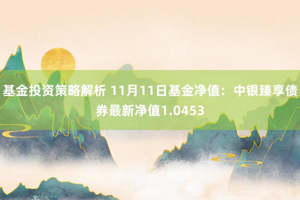 基金投资策略解析 11月11日基金净值：中银臻享债券最新净值1.0453