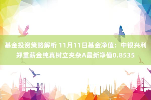 基金投资策略解析 11月11日基金净值：中银兴利郑重薪金纯真树立夹杂A最新净值0.8535