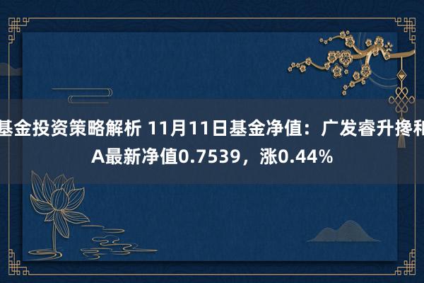 基金投资策略解析 11月11日基金净值：广发睿升搀和A最新净值0.7539，涨0.44%