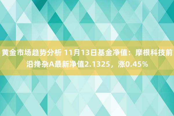 黄金市场趋势分析 11月13日基金净值：摩根科技前沿搀杂A最新净值2.1325，涨0.45%