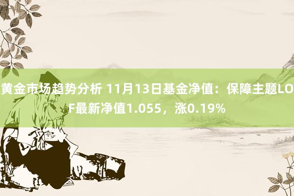 黄金市场趋势分析 11月13日基金净值：保障主题LOF最新净值1.055，涨0.19%