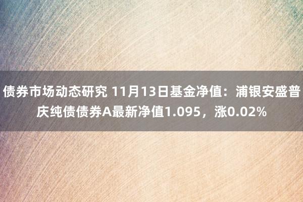 债券市场动态研究 11月13日基金净值：浦银安盛普庆纯债债券A最新净值1.095，涨0.02%