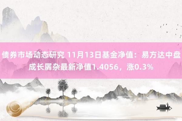 债券市场动态研究 11月13日基金净值：易方达中盘成长羼杂最新净值1.4056，涨0.3%