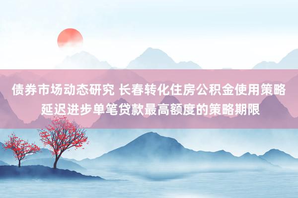 债券市场动态研究 长春转化住房公积金使用策略 延迟进步单笔贷款最高额度的策略期限