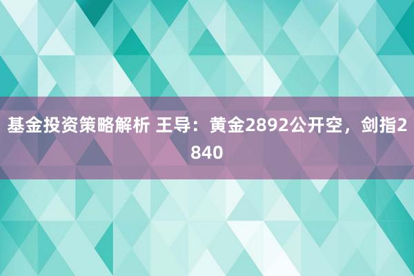 基金投资策略解析 王导：黄金2892公开空，剑指2840