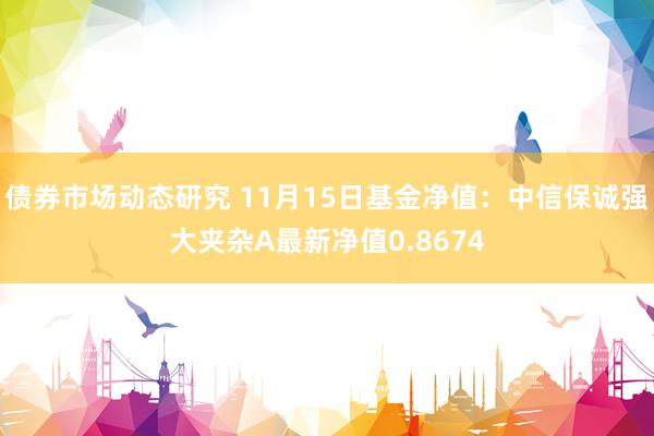 债券市场动态研究 11月15日基金净值：中信保诚强大夹杂A最新净值0.8674