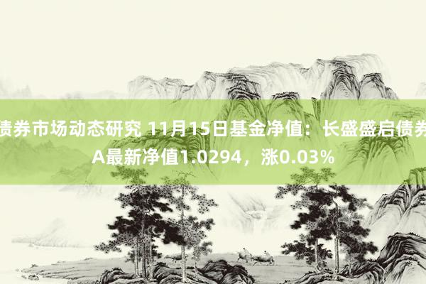 债券市场动态研究 11月15日基金净值：长盛盛启债券A最新净值1.0294，涨0.03%