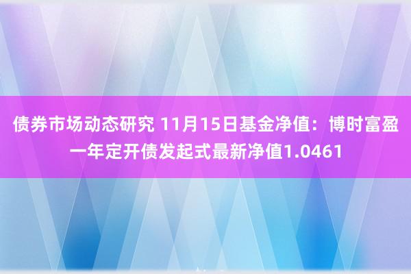 债券市场动态研究 11月15日基金净值：博时富盈一年定开债发起式最新净值1.0461