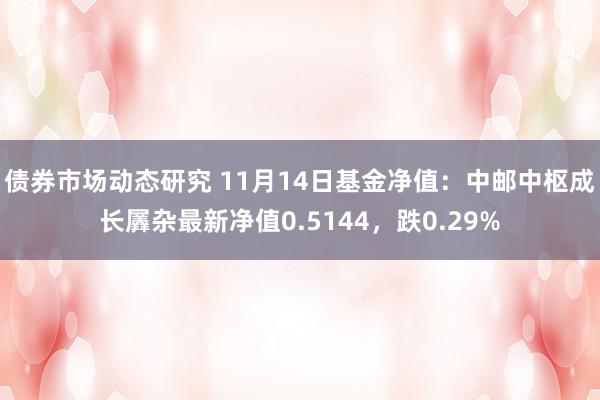 债券市场动态研究 11月14日基金净值：中邮中枢成长羼杂最新净值0.5144，跌0.29%