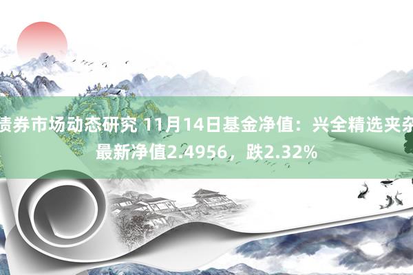 债券市场动态研究 11月14日基金净值：兴全精选夹杂最新净值2.4956，跌2.32%