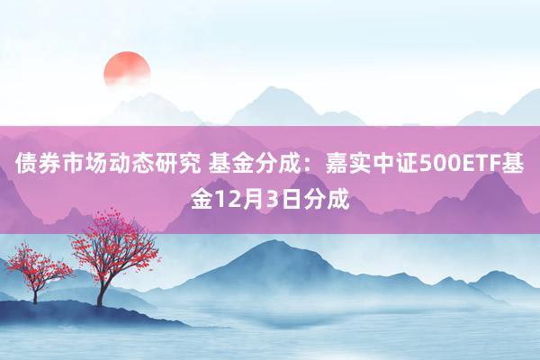 债券市场动态研究 基金分成：嘉实中证500ETF基金12月3日分成