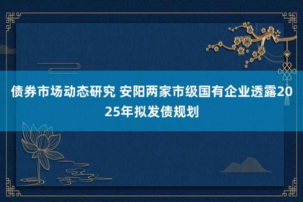 债券市场动态研究 安阳两家市级国有企业透露2025年拟发债规划