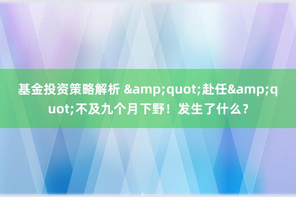 基金投资策略解析 &quot;赴任&quot;不及九个月下野！发生了什么？