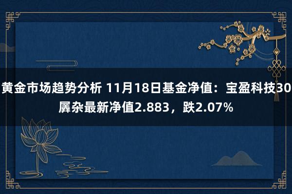 黄金市场趋势分析 11月18日基金净值：宝盈科技30羼杂最新净值2.883，跌2.07%