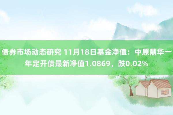 债券市场动态研究 11月18日基金净值：中原鼎华一年定开债最新净值1.0869，跌0.02%