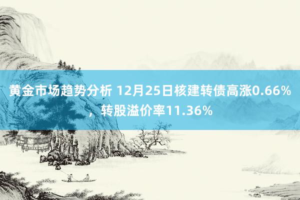 黄金市场趋势分析 12月25日核建转债高涨0.66%，转股溢价率11.36%