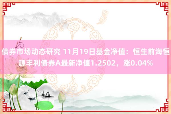 债券市场动态研究 11月19日基金净值：恒生前海恒源丰利债券A最新净值1.2502，涨0.04%