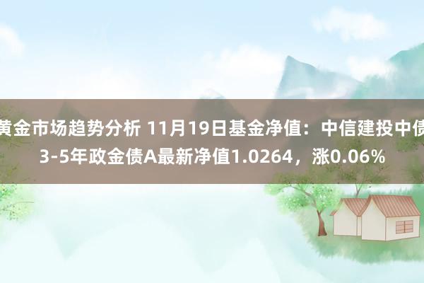 黄金市场趋势分析 11月19日基金净值：中信建投中债3-5年政金债A最新净值1.0264，涨0.06%