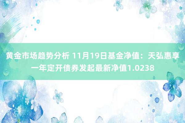 黄金市场趋势分析 11月19日基金净值：天弘惠享一年定开债券发起最新净值1.0238