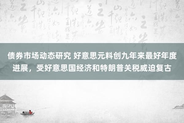 债券市场动态研究 好意思元料创九年来最好年度进展，受好意思国经济和特朗普关税威迫复古