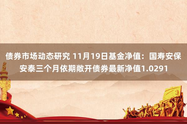 债券市场动态研究 11月19日基金净值：国寿安保安泰三个月依期敞开债券最新净值1.0291