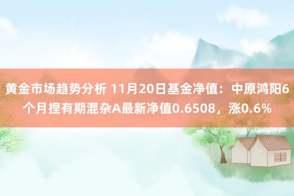 黄金市场趋势分析 11月20日基金净值：中原鸿阳6个月捏有期混杂A最新净值0.6508，涨0.6%