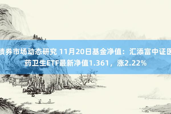 债券市场动态研究 11月20日基金净值：汇添富中证医药卫生ETF最新净值1.361，涨2.22%