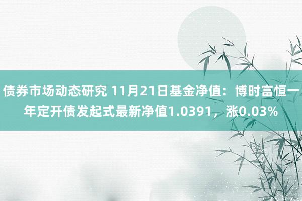 债券市场动态研究 11月21日基金净值：博时富恒一年定开债发起式最新净值1.0391，涨0.03%