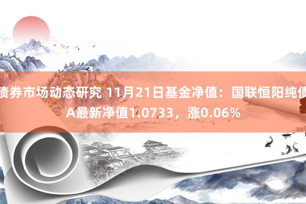 债券市场动态研究 11月21日基金净值：国联恒阳纯债A最新净值1.0733，涨0.06%