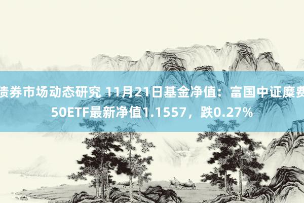 债券市场动态研究 11月21日基金净值：富国中证糜费50ETF最新净值1.1557，跌0.27%