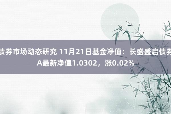 债券市场动态研究 11月21日基金净值：长盛盛启债券A最新净值1.0302，涨0.02%