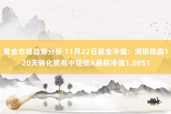 黄金市场趋势分析 11月22日基金净值：浦银稳鑫120天转化抓有中短债A最新净值1.0851