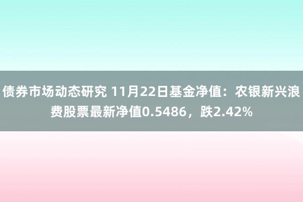 债券市场动态研究 11月22日基金净值：农银新兴浪费股票最新净值0.5486，跌2.42%