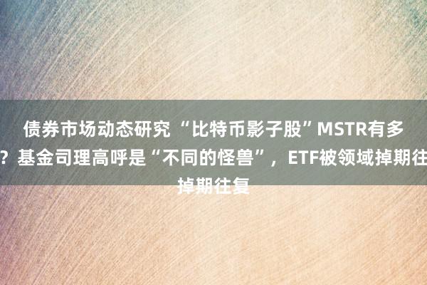 债券市场动态研究 “比特币影子股”MSTR有多火？基金司理高呼是“不同的怪兽”，ETF被领域掉期往复