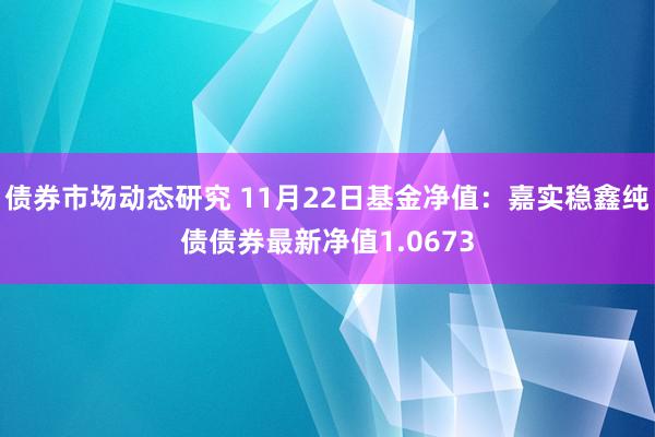 债券市场动态研究 11月22日基金净值：嘉实稳鑫纯债债券最新净值1.0673