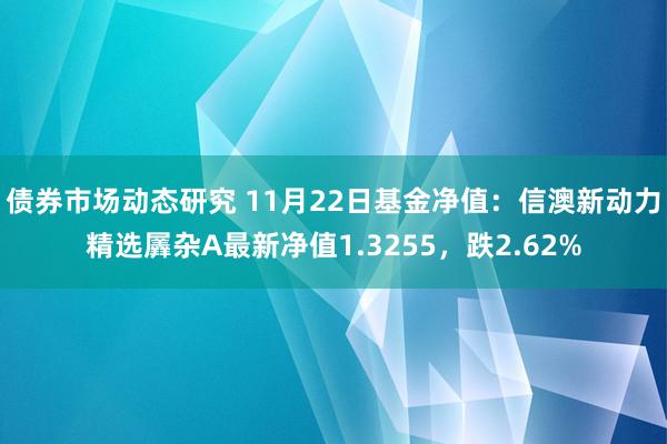 债券市场动态研究 11月22日基金净值：信澳新动力精选羼杂A最新净值1.3255，跌2.62%