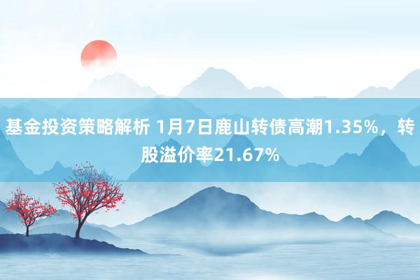 基金投资策略解析 1月7日鹿山转债高潮1.35%，转股溢价率21.67%