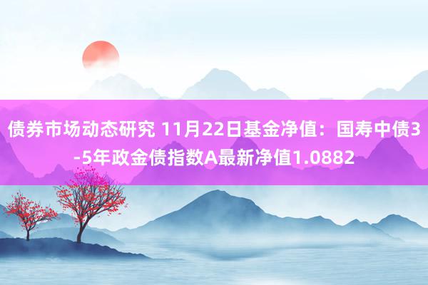 债券市场动态研究 11月22日基金净值：国寿中债3-5年政金债指数A最新净值1.0882