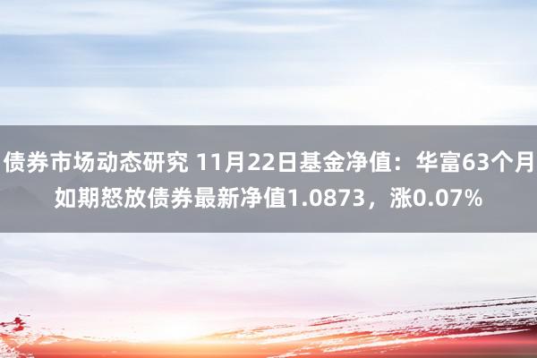 债券市场动态研究 11月22日基金净值：华富63个月如期怒放债券最新净值1.0873，涨0.07%