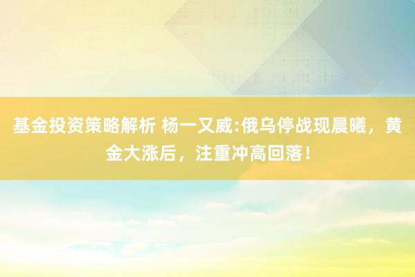 基金投资策略解析 杨一又威:俄乌停战现晨曦，黄金大涨后，注重冲高回落！